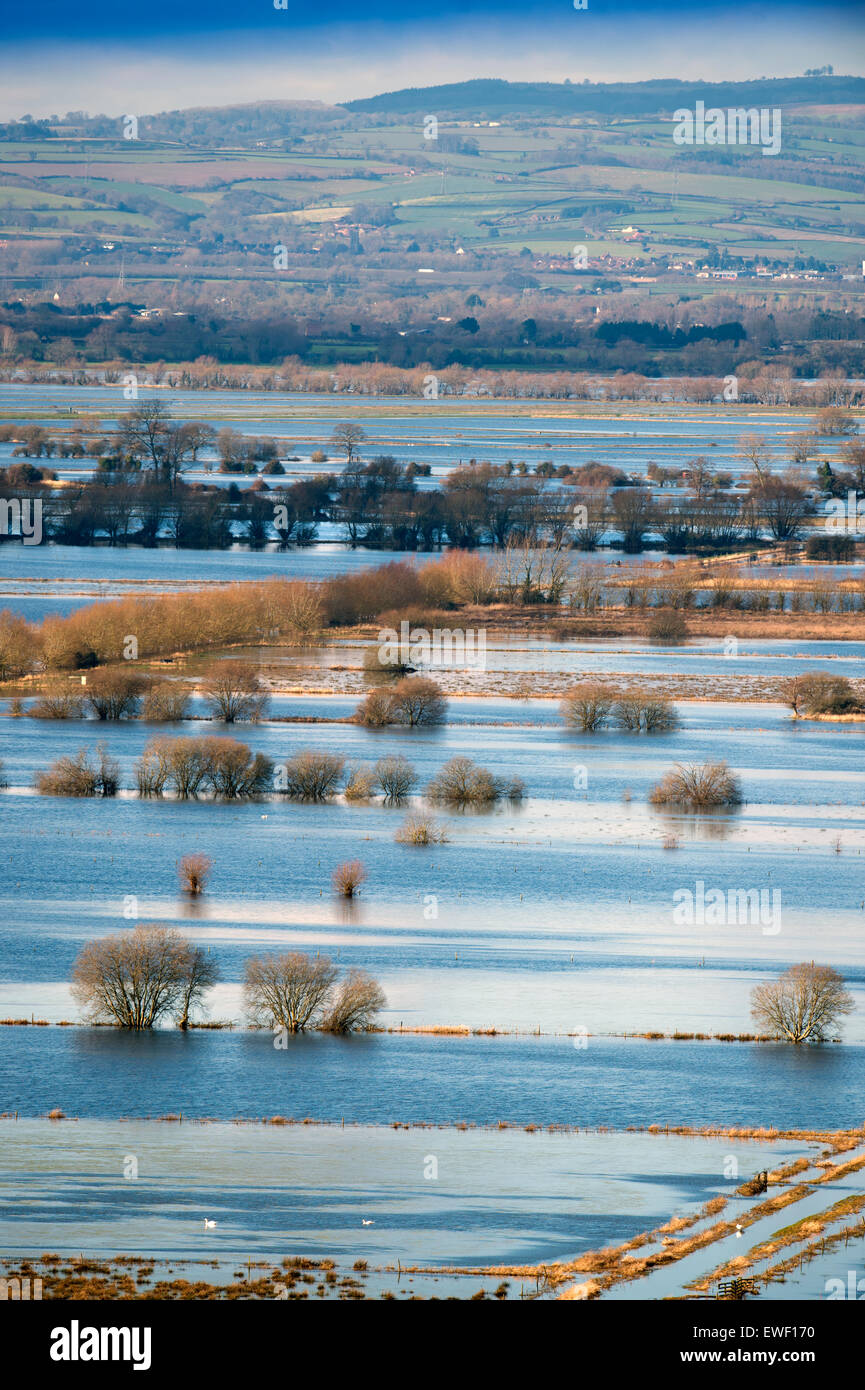 Verbesserung der Wetter hat einige Teile der Somerset Levels die Chance gegeben zu erholen – hier entstehen Felder und Gräben der fl Stockfoto