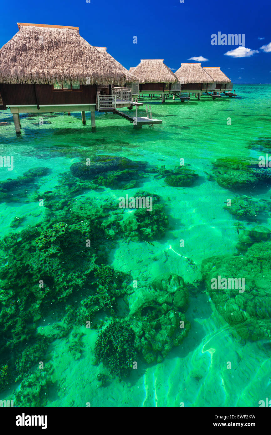 Wasser-Villen auf dem grünen tropischen Riff, die besten Reisen island Stockfoto