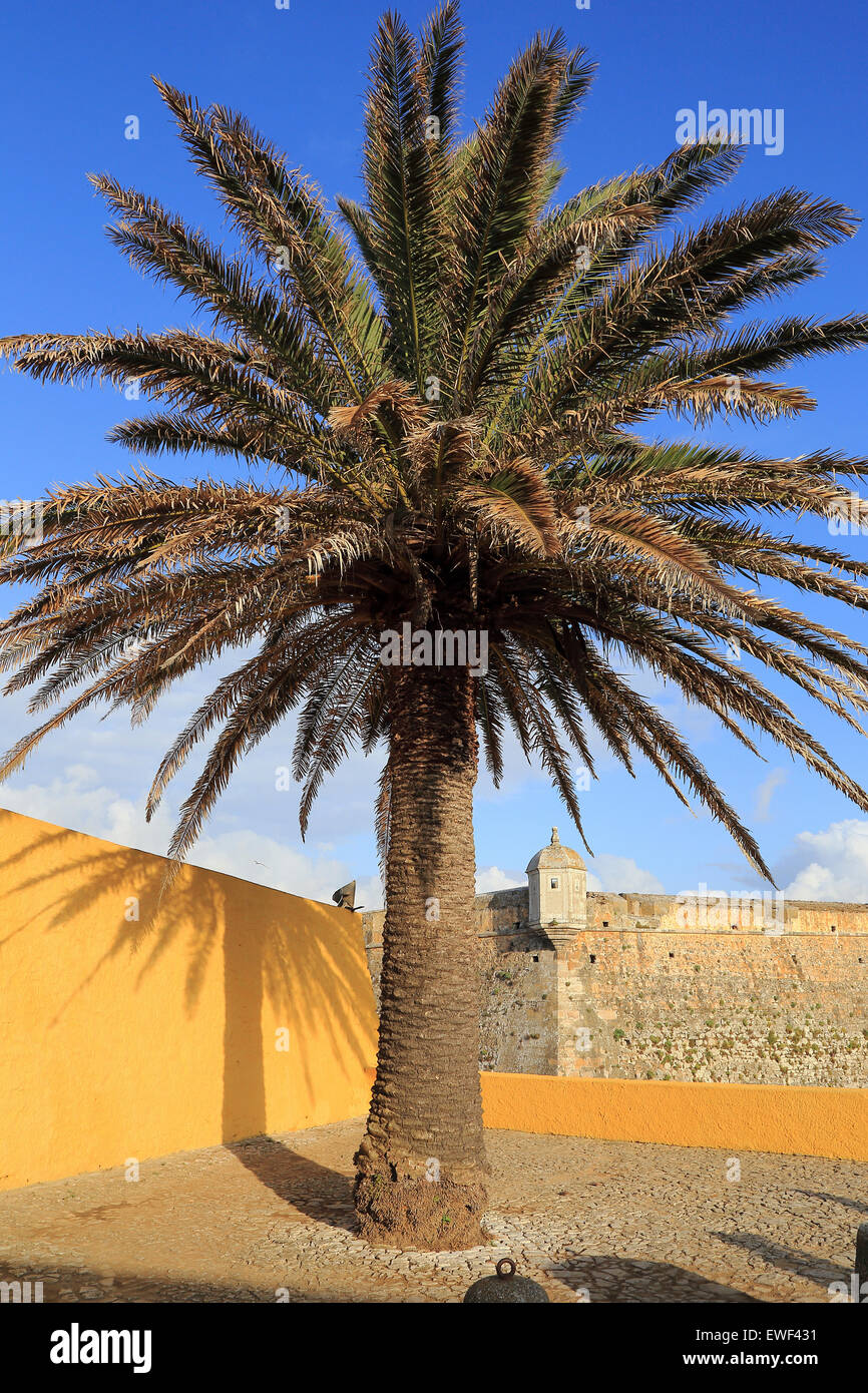 Peniche Festung, Portugal Stockfoto