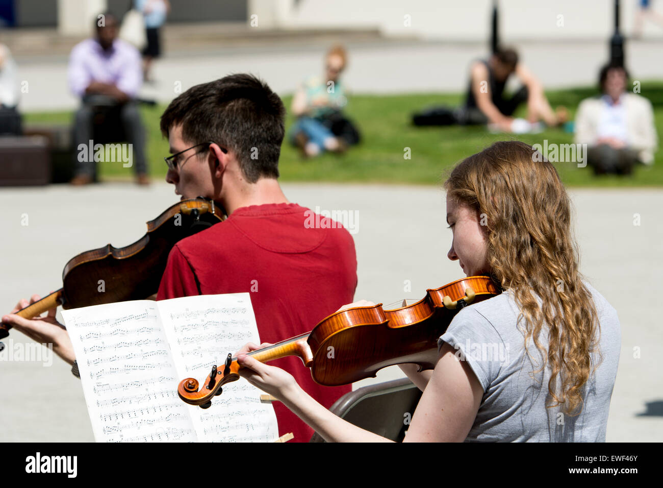 Die University of Warwick Streichorchester, UK Stockfoto