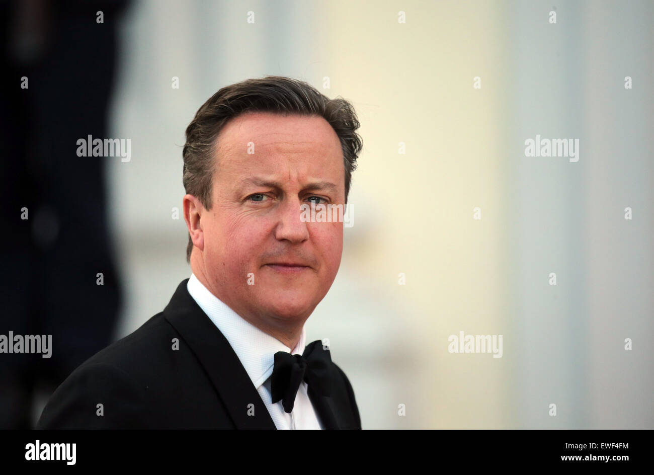 Der britische Premierminister David Cameron kommt zu einem Staatsbankett zu Ehren der britischen Königin im Schloss Bellevue in Berlin, Deutschland, 24. Juni 2015. Die Königin und ihr Ehemann sind auf ihre fünfte Staatsbesuch in Deutschland. Foto: KAY NIETFELD/dpa Stockfoto