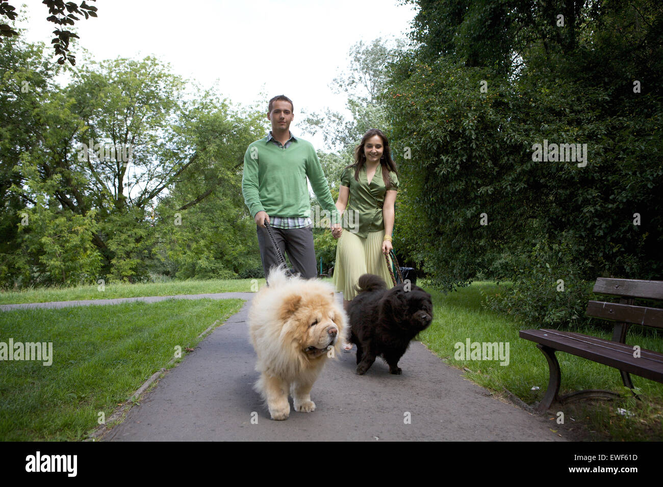 Junge Paare, die mit Hunde Stockfoto