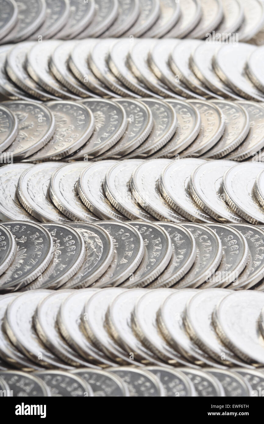 Polnische Währung - Studio gedreht Stockfoto