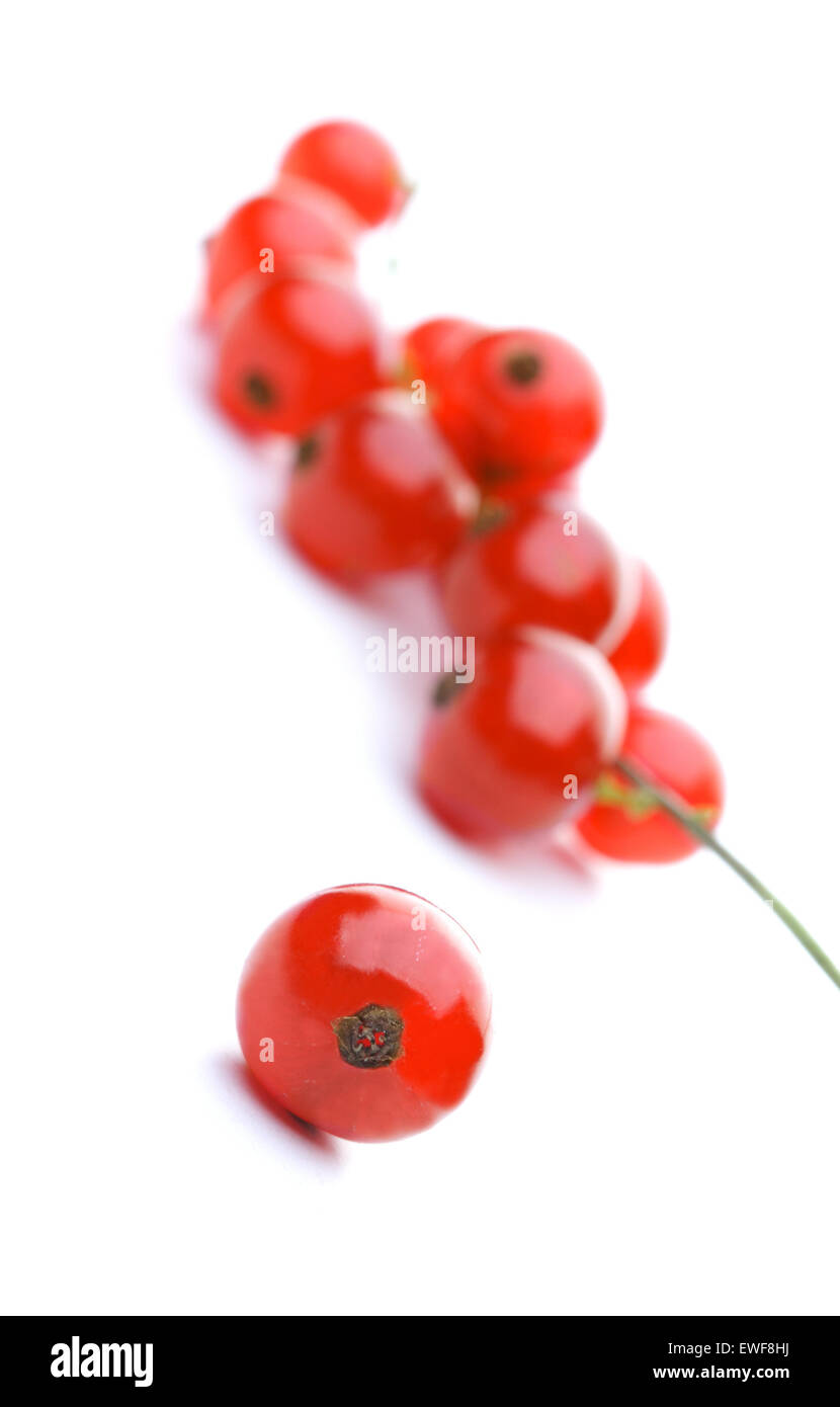 Rote Johannisbeeren Stockfoto