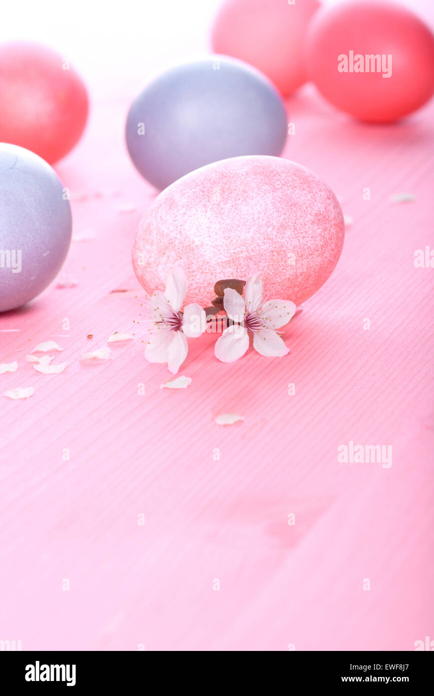 Ostereier auf rosa Hintergrund Stockfoto