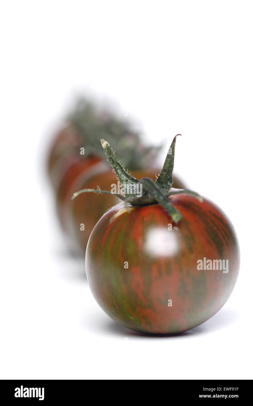 Studioaufnahme schwarze Tomaten Stockfoto