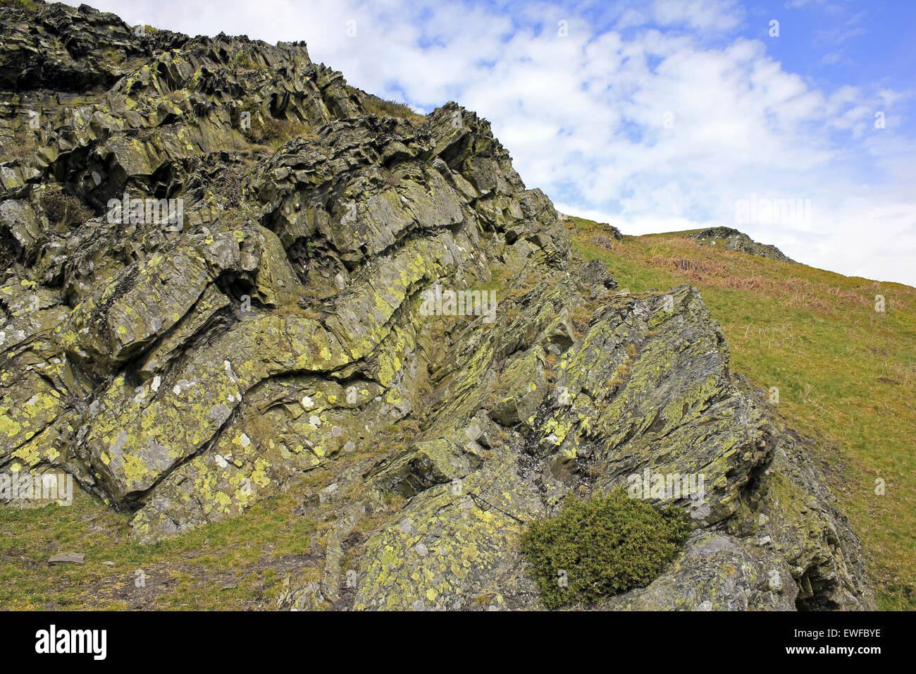 Zerknitterte Silur Sedimente auf Pen-y-Cloddiau, Clywdians, Wales Stockfoto