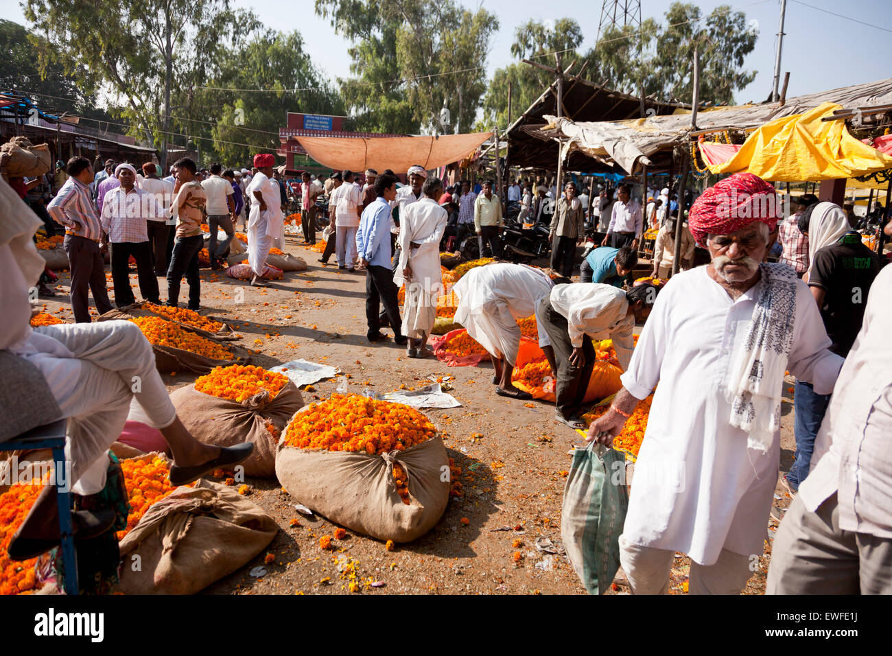 Blumenmarkt in Jaipur, Rajasthan, Indien, Asien Stockfoto