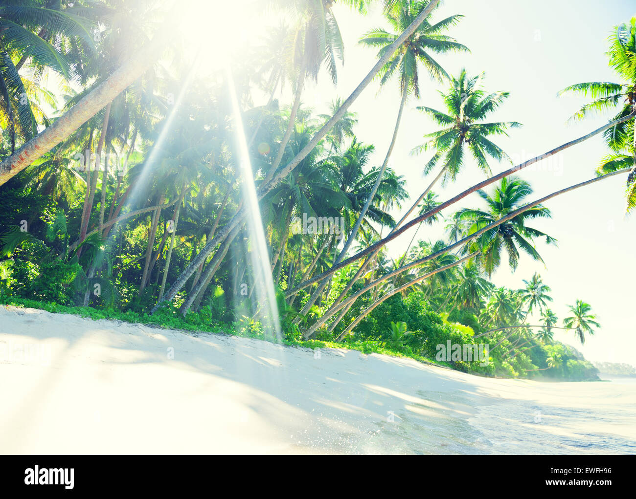 Tropical Beach Stockfoto
