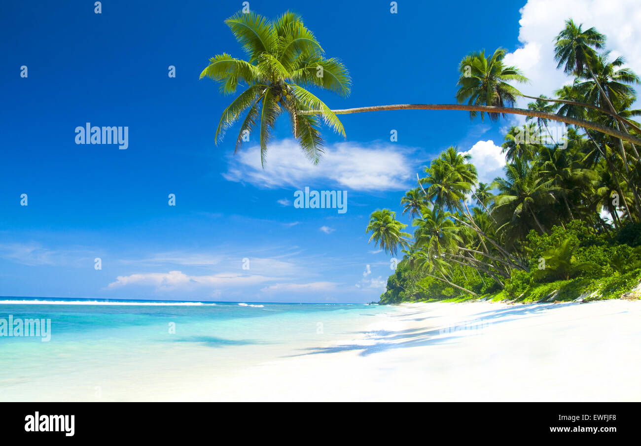 Tropischer Strand-Destination. Stockfoto