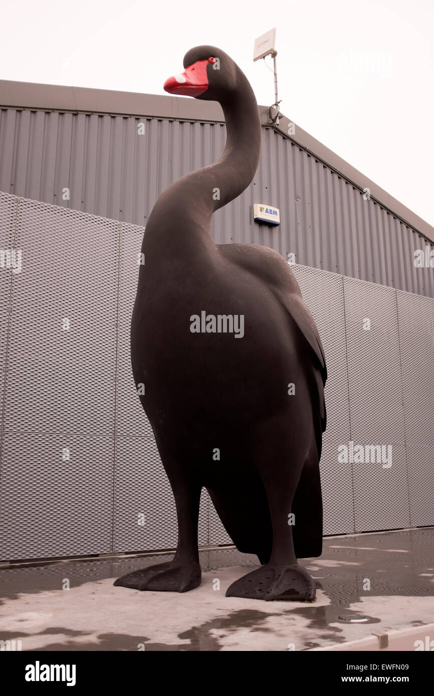 Kunst im öffentlichen Raum riesig großen schwarzen Schwan Kunststoff Kenny Hunter Stockfoto