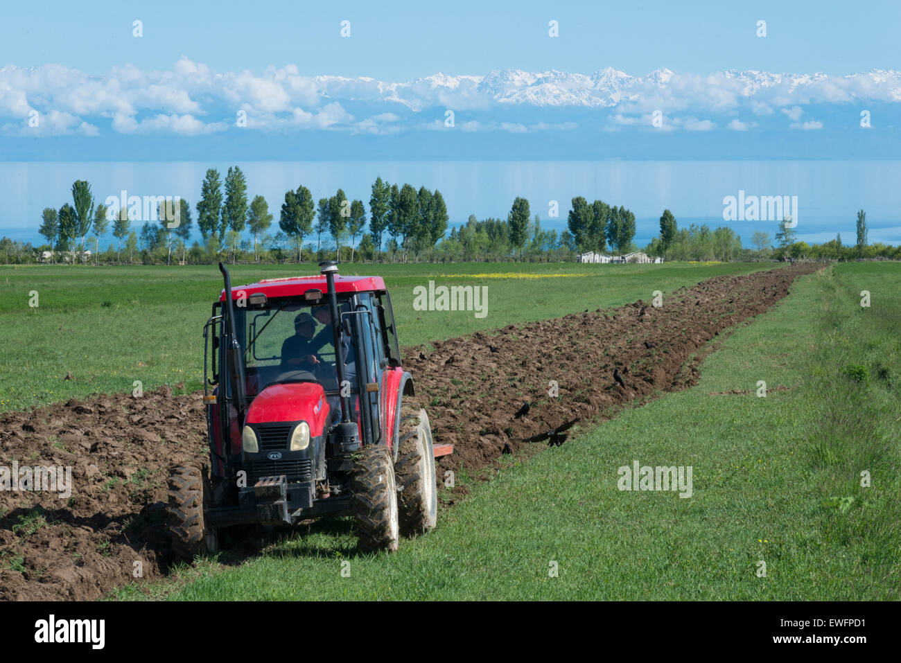 Blick auf See Issyk-Köl mit Feldern. Barksoon. Kirgistan. Zentralasien. Stockfoto