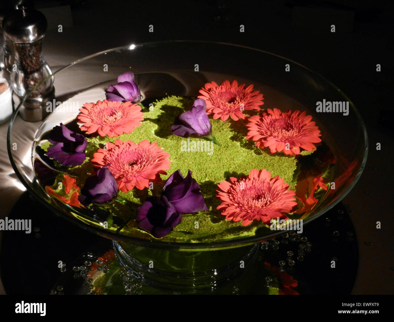 Berlin, Deutschland, Blumen in einer Glasschale Stockfoto