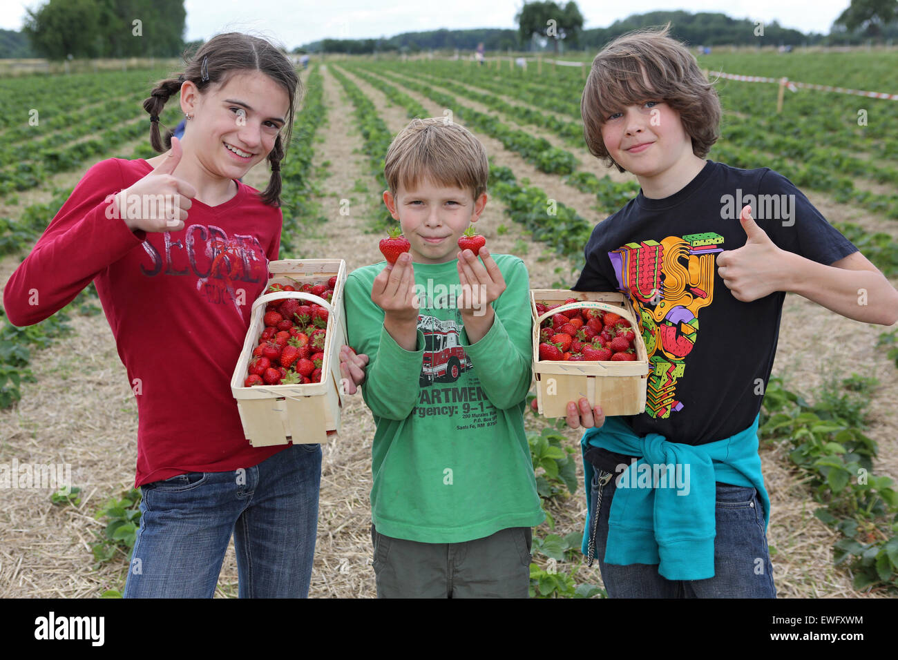 Werl, Deutschland, anzeigen junge Menschen voller stolz ihre selbst gepflückten Erdbeeren Stockfoto