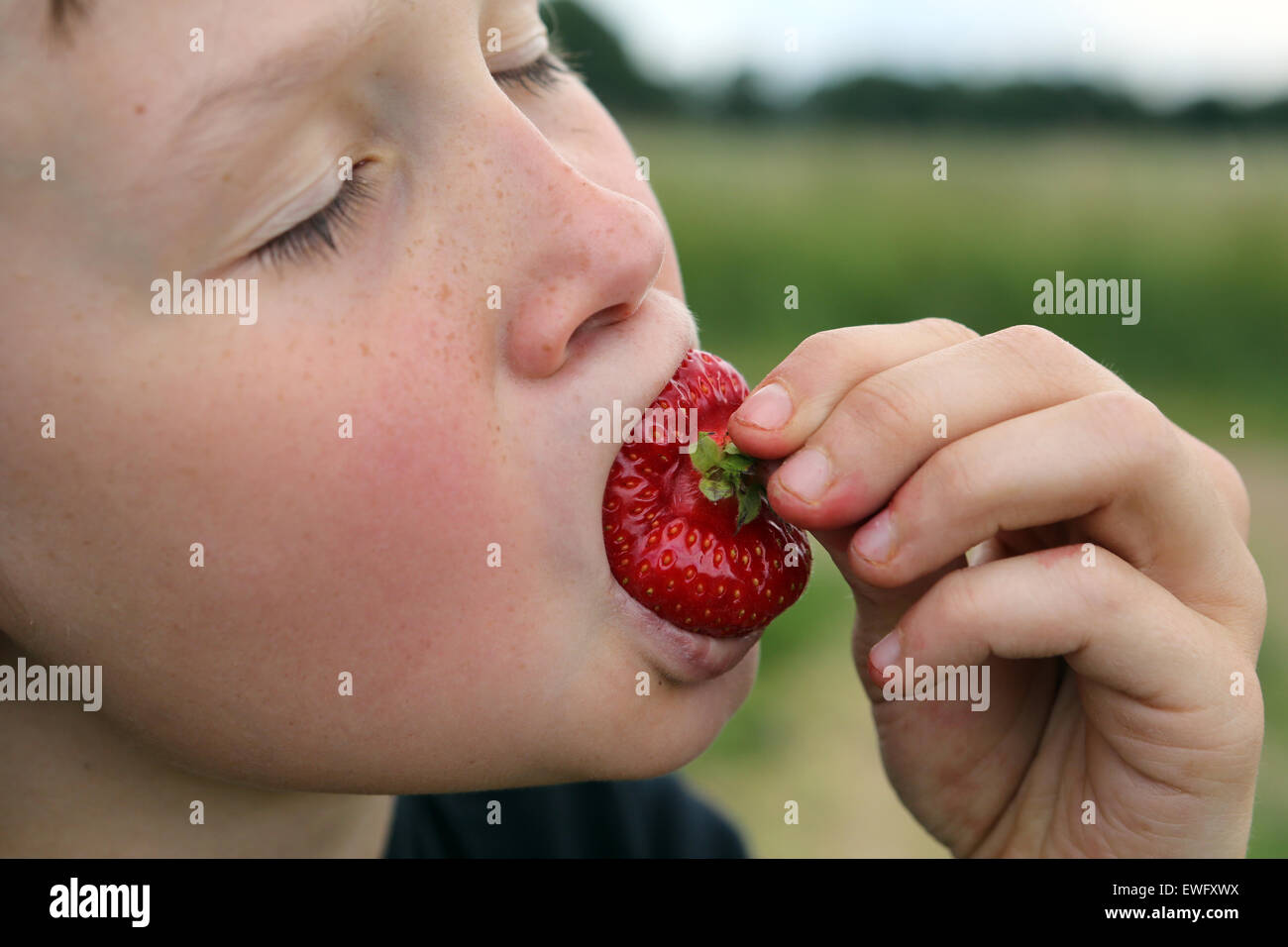 Werl, Deutschland, junge eine Erdbeere essen Stockfoto