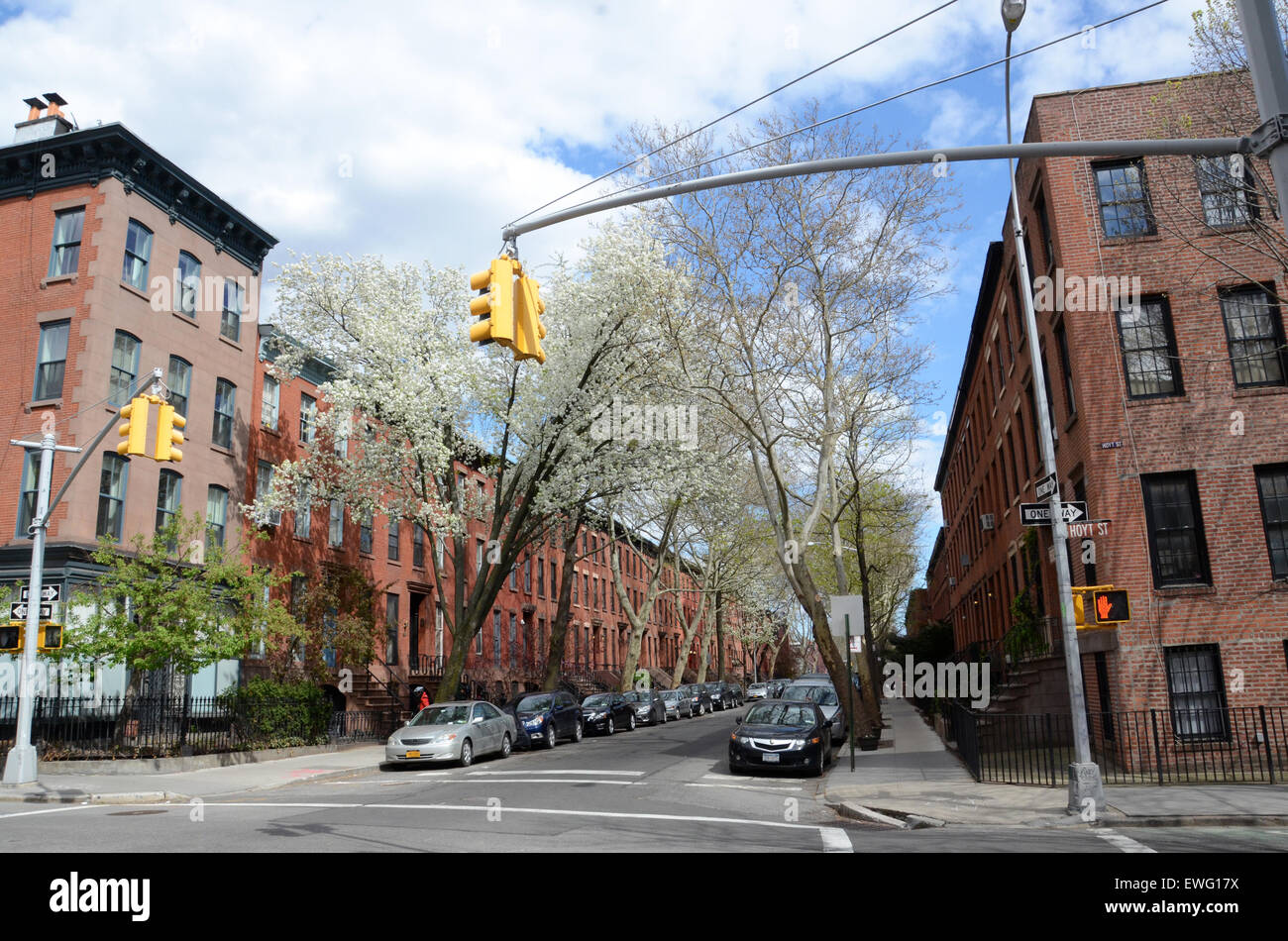 Brooklyn Brownstone beherbergt New york Stockfoto