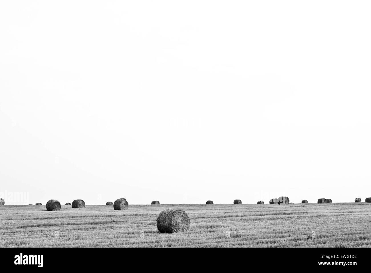 Offene Landschaft mit Heu Ballen Ballen minimalistischen weißen Hintergrund Hintergrund schwarz und weiß Rasen Heu Landschaft im freien Stockfoto
