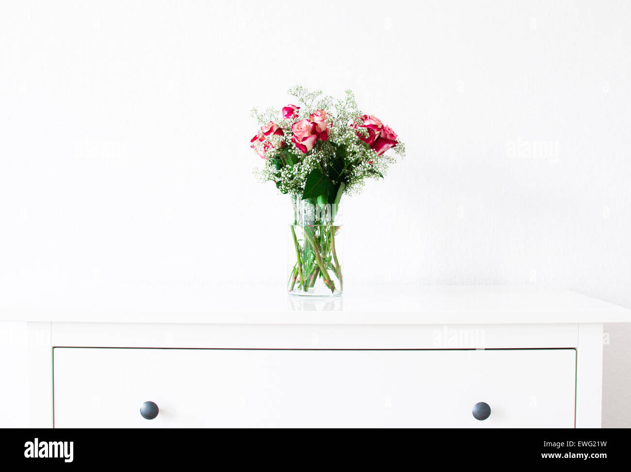 Vase mit roten und weißen Rosen Babys Atem Brust Schublade Dresser Blumen Schleierkraut Paniculata minimalistisch Rosa Vase weißer Hintergrund Strauß roter Rosen weiß Stockfoto