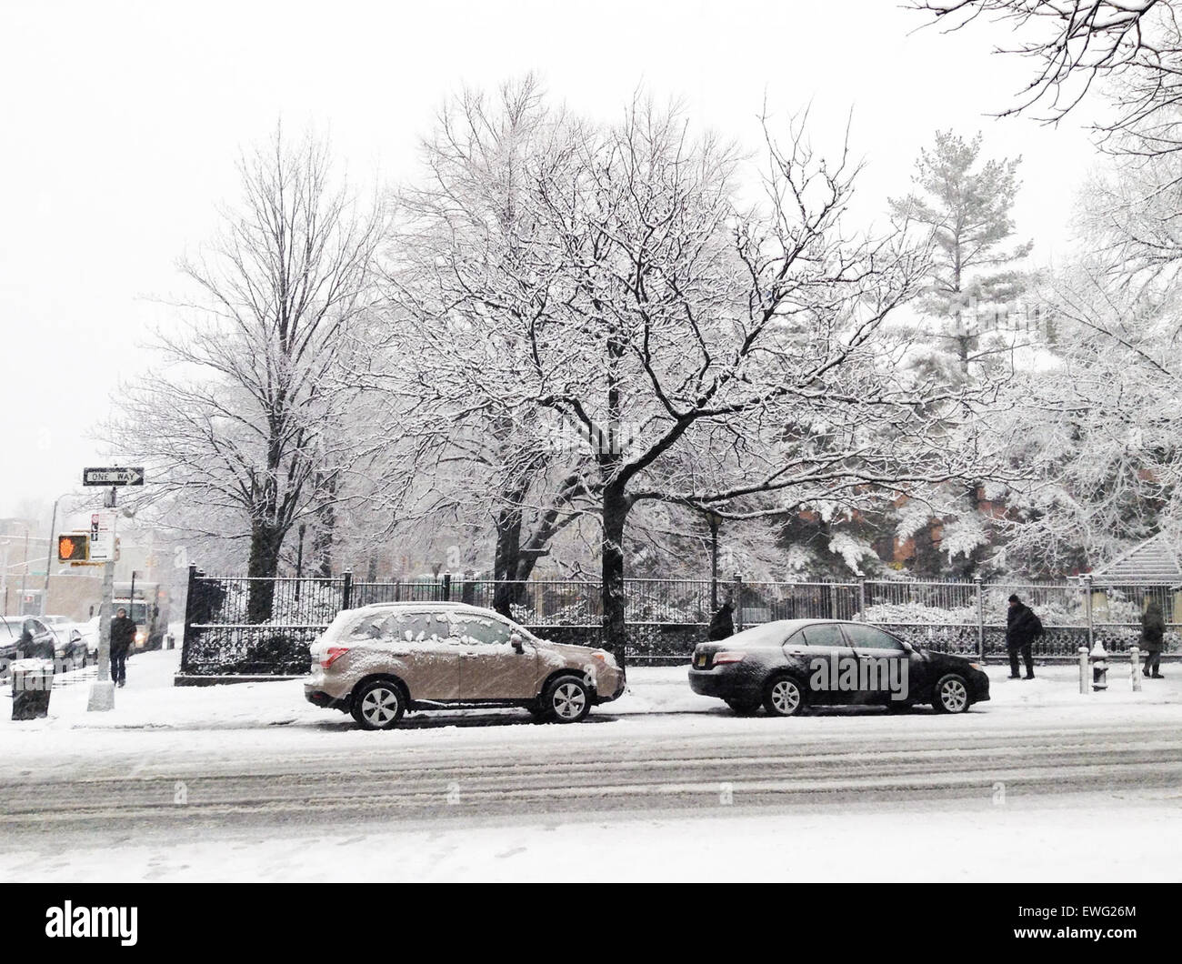 Autos parken, bedeckt mit Eis und Schnee Stockfoto