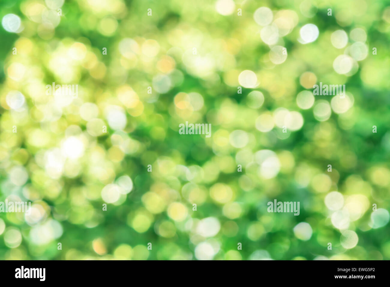 Leuchtendes Akzente defokussierten im Laub eine lebendige Bokeh-Komposition, ideal als Natur Hintergrund Stockfoto