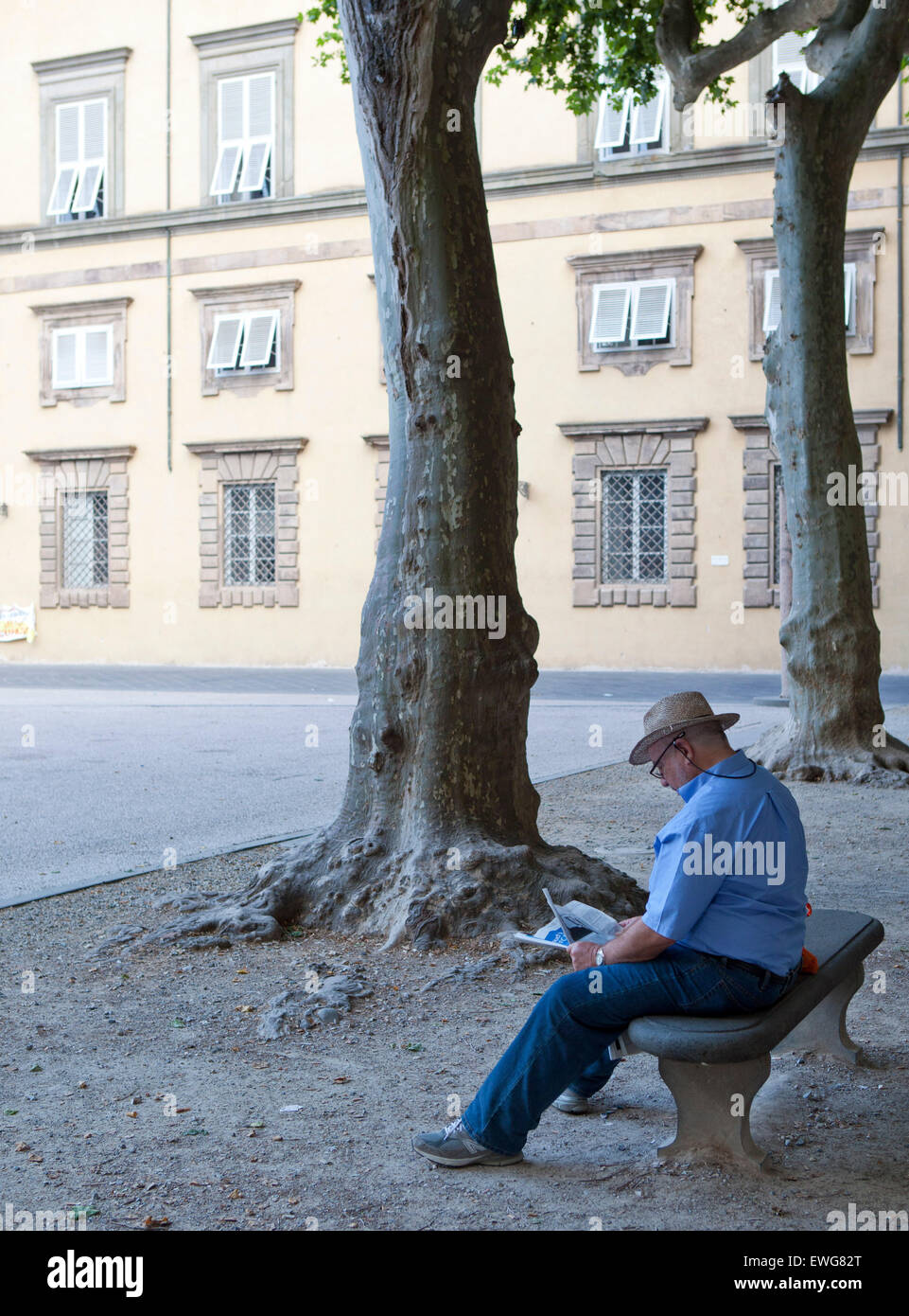 Mann liest Papier auf Bank, alte Stadt Lucca, Italien Stockfoto