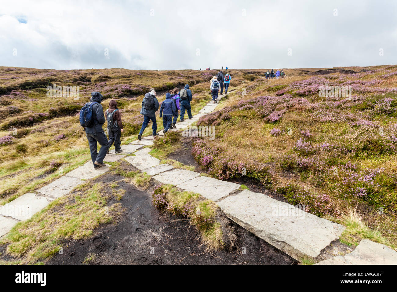 Große Gruppe von Wanderer Wandern auf einem Moor weg, Kinder Scout, Derbyshire, England, UK. Den Stein weg ist Erosion auf dem Moor zu steuern. Stockfoto