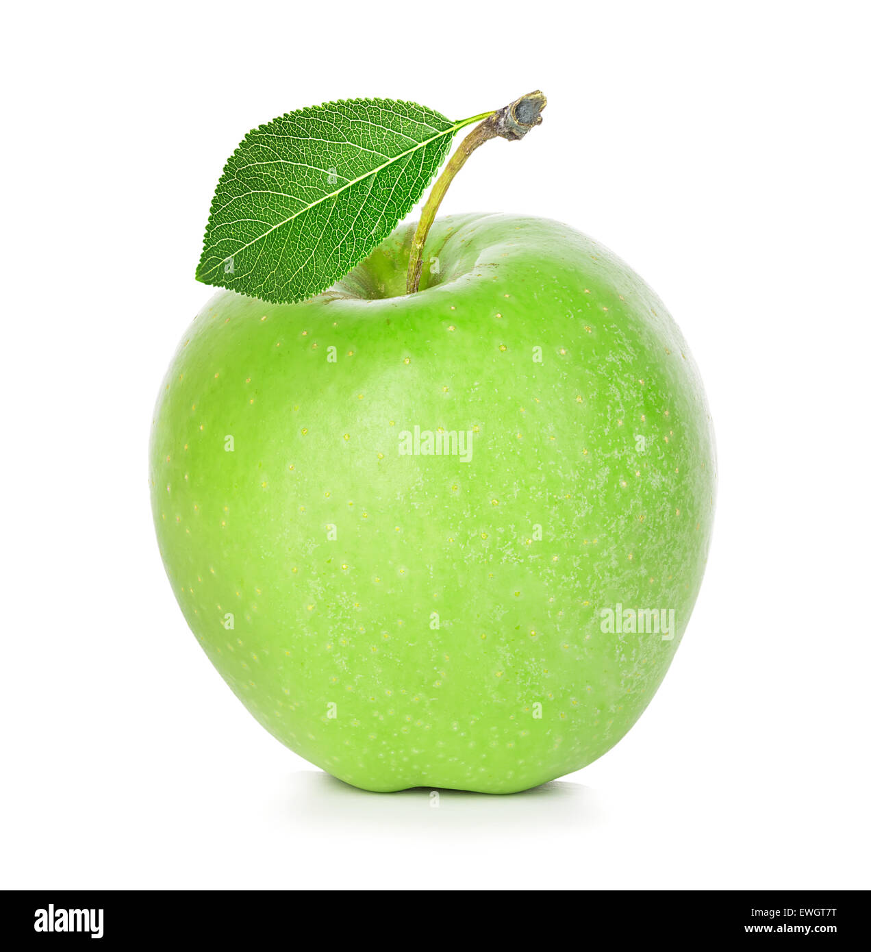 Grüner Apfel isoliert auf weißem Hintergrund Stockfoto