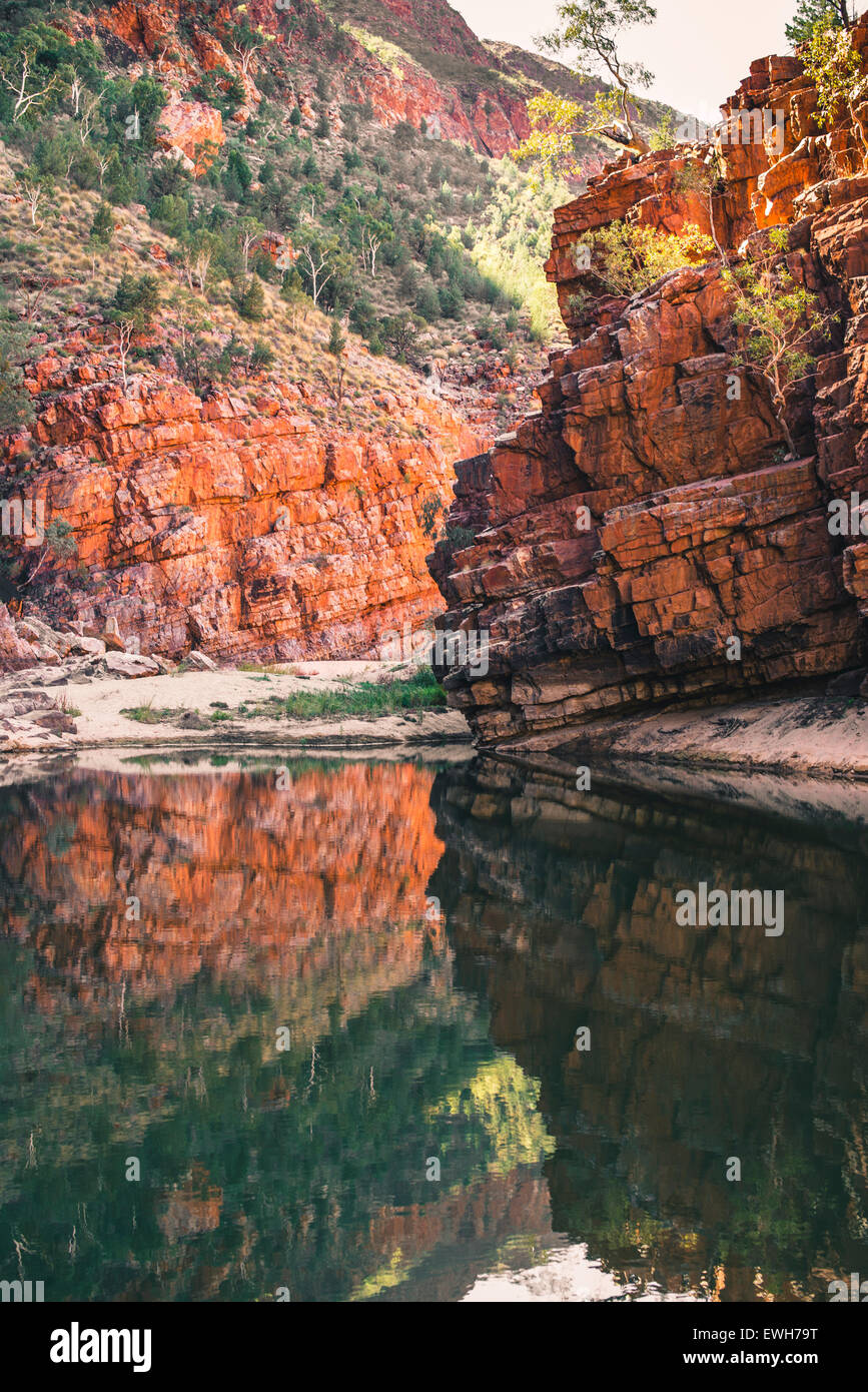 Spiegelung im Wasser der rote Felsen in der Ormiston Gorge in den West MacDonnell Ranges Stockfoto