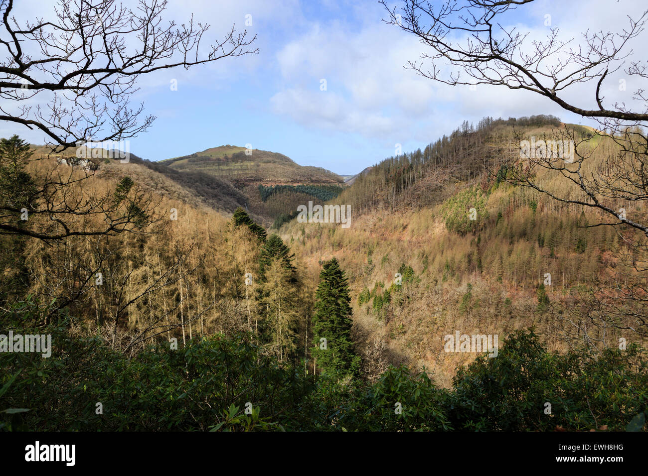 Das Rheidol Tal des Teufels-Brücke, Ceredigion, Wales Stockfoto