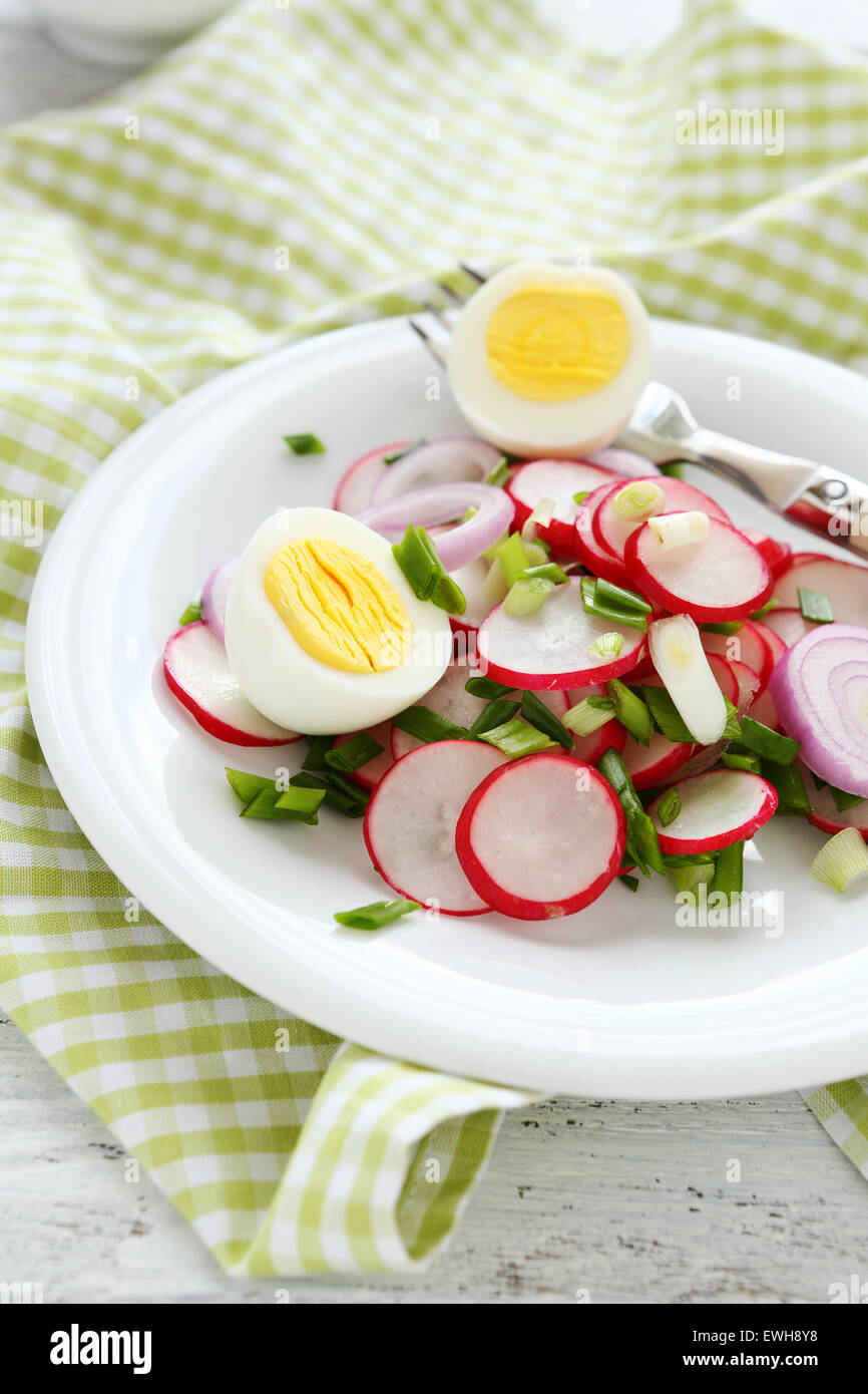 Salat mit Radieschen und Zwiebeln, Essen Stockfoto