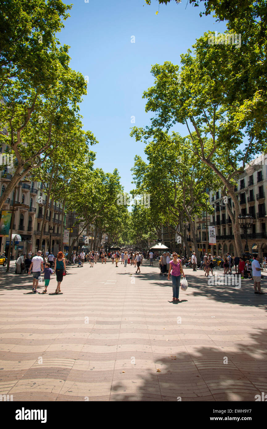 La Rambla oder Las Ramblas beliebten touristischen Straße in barcelaona, Katalonien, Spanien Stockfoto