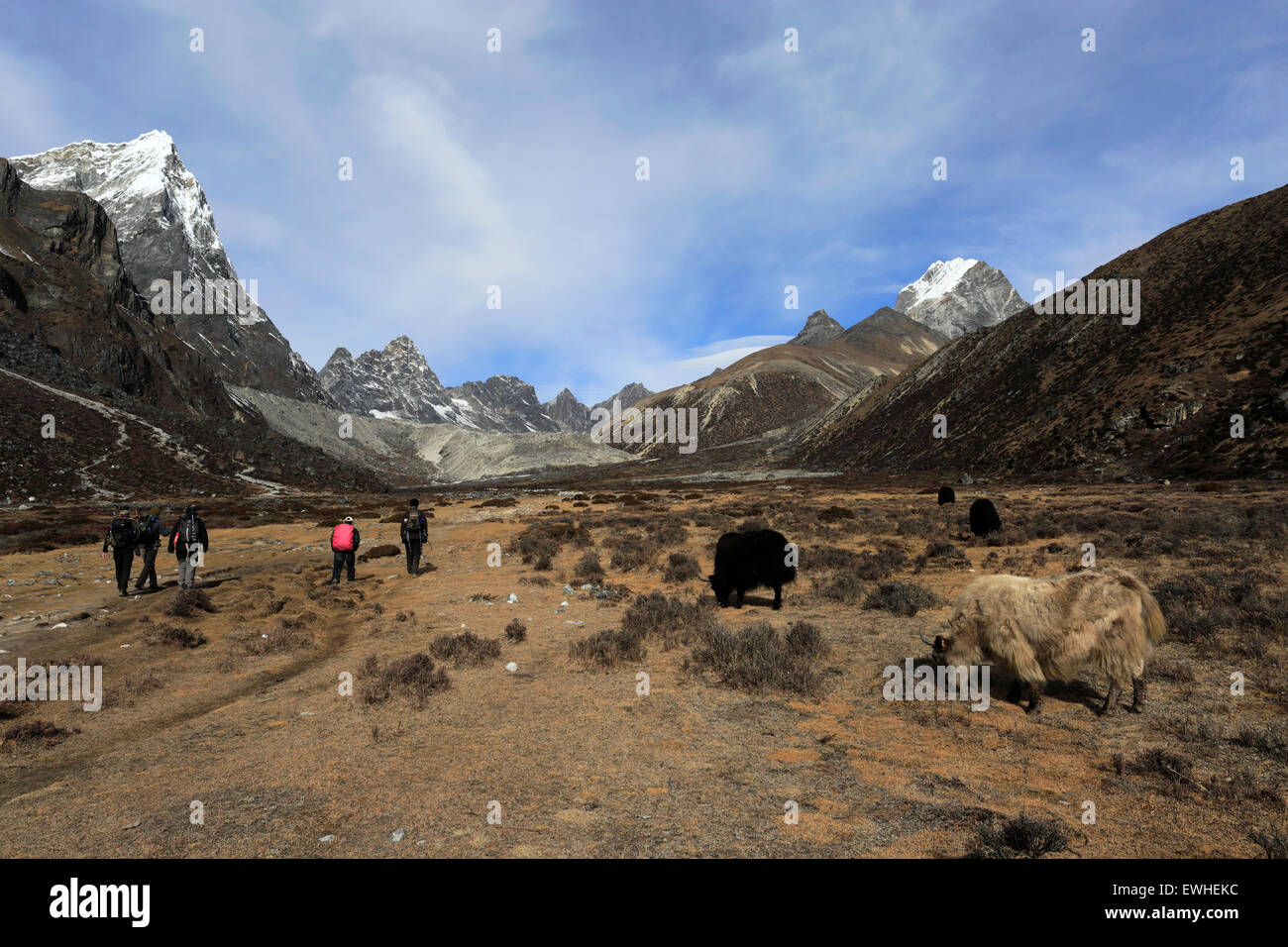 Wanderer zu Fuß entlang der Pass Pheriche, Everest base Camp trek, UNESCO-Weltkulturerbe, Sagarmatha Nationalpark, Stockfoto