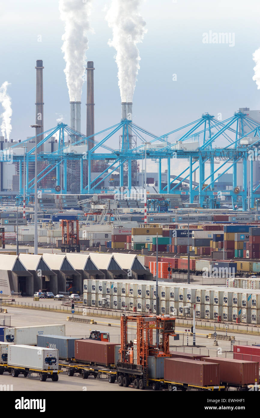 Container-terminal und Krane in Rotterdam, Niederlande. Stockfoto