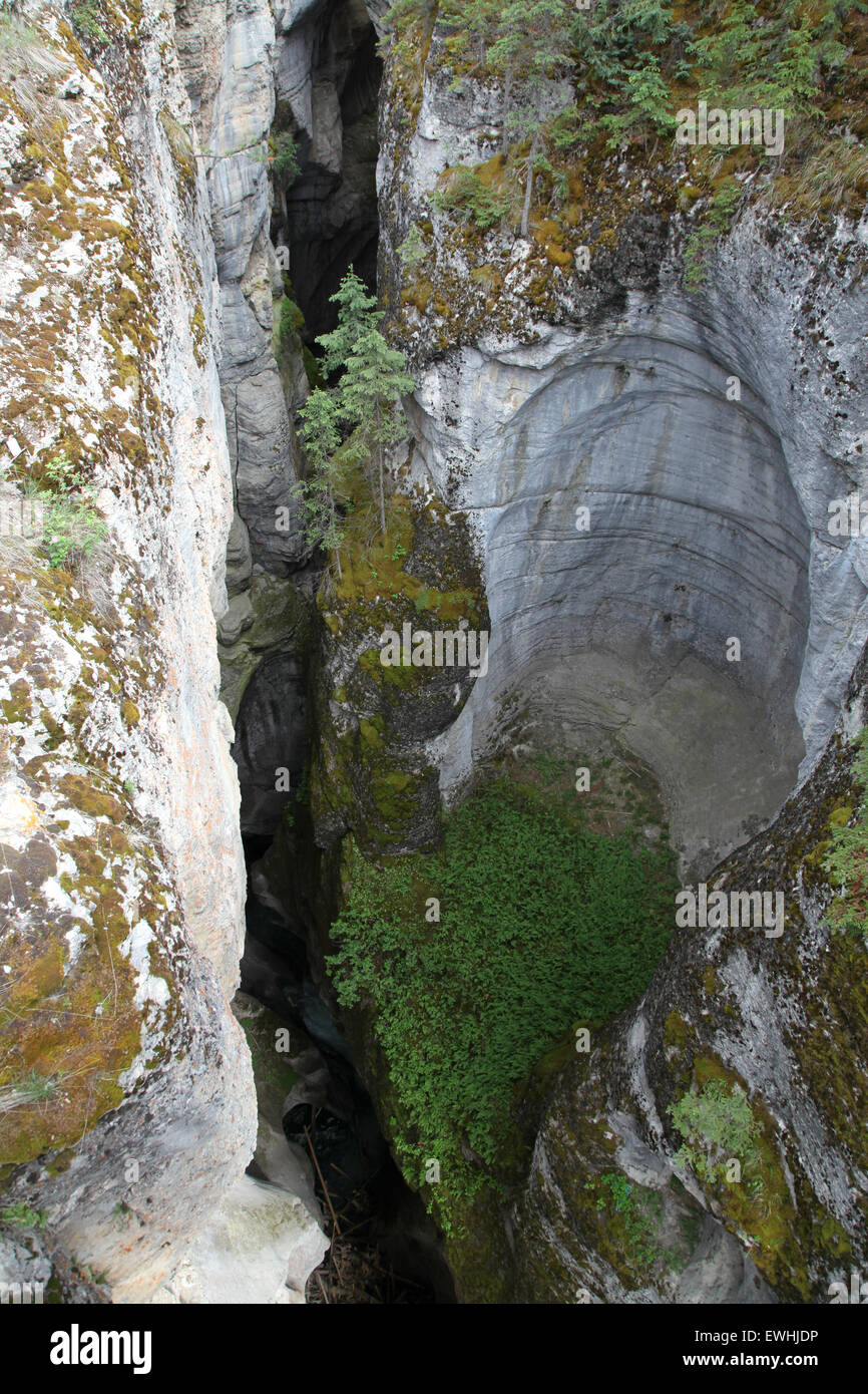 Wassererosion nach Millionen von Jahren zeigen in den Gesteinsschichten in der Nähe von Banff in den kanadischen Rockies Stockfoto