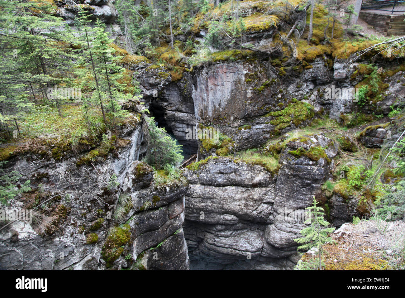 Regenwasser ist eine Schlucht durch die Felsen der Maligne Canyon in der Nähe von Banff in den Rocky Mountains, Kanada geschnitten. Stockfoto