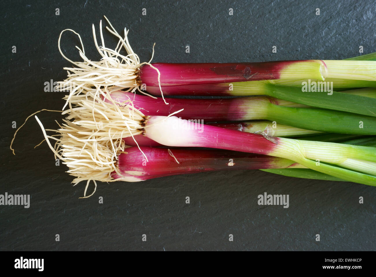 Frische rote Frühlingszwiebeln auf einer Schiefertafel Platte Stockfoto