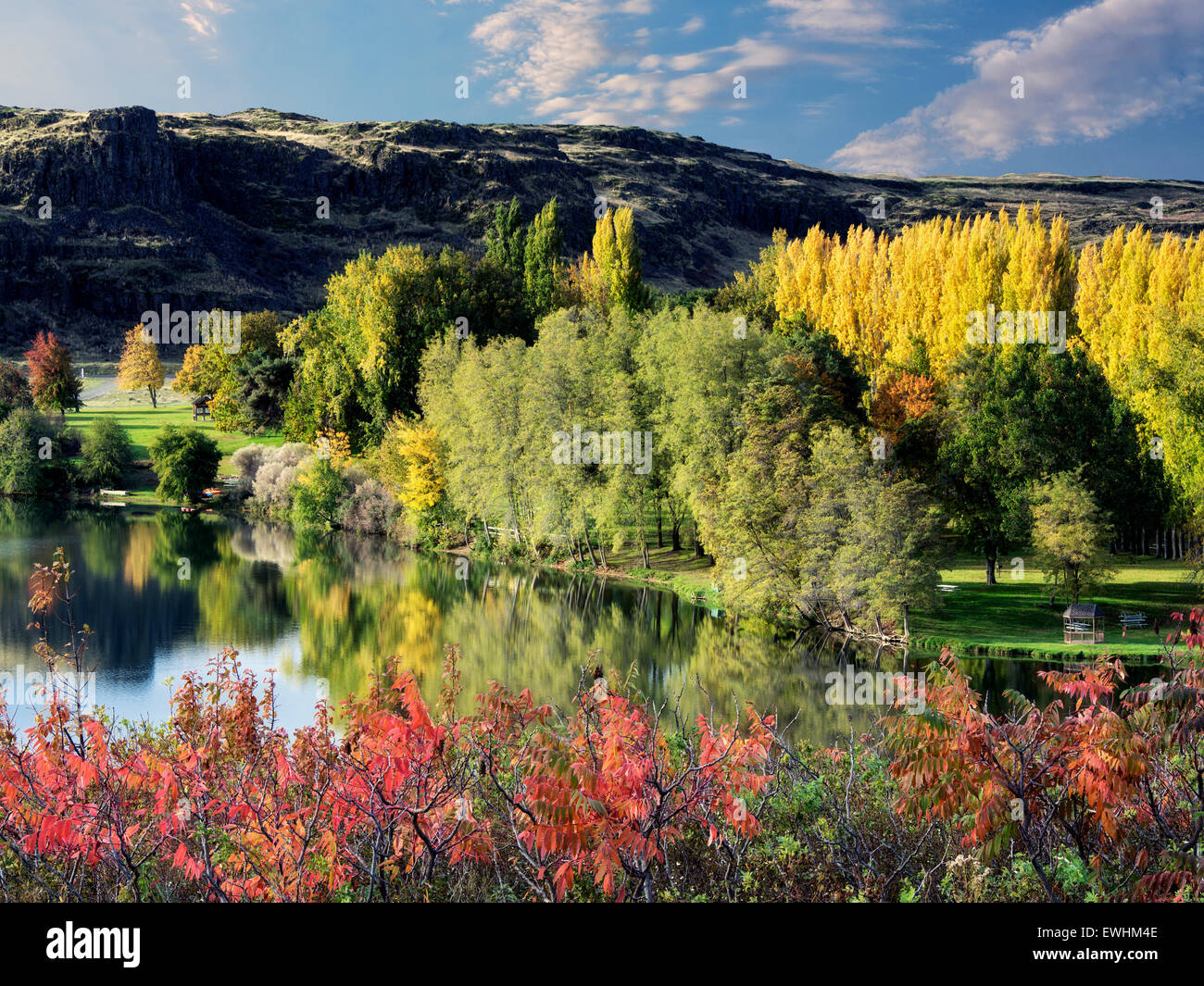 Herbstfarben am Horesthief Lake State Park, Washington. Columbia River Gorge National Scenic Area Stockfoto
