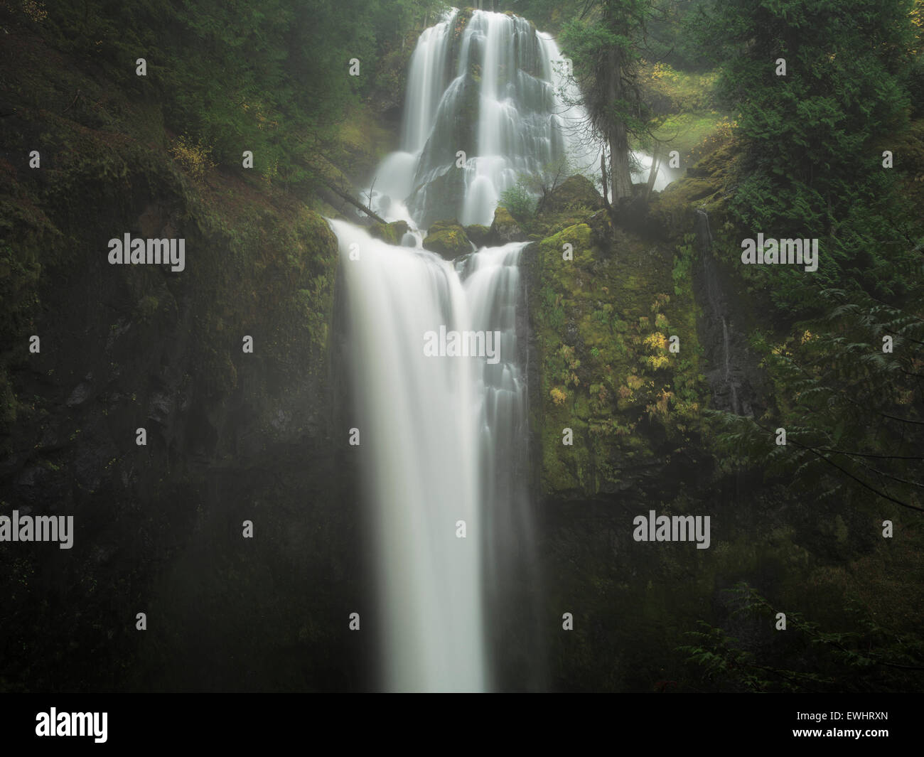 Falls Creek Falls, Washington. Stockfoto