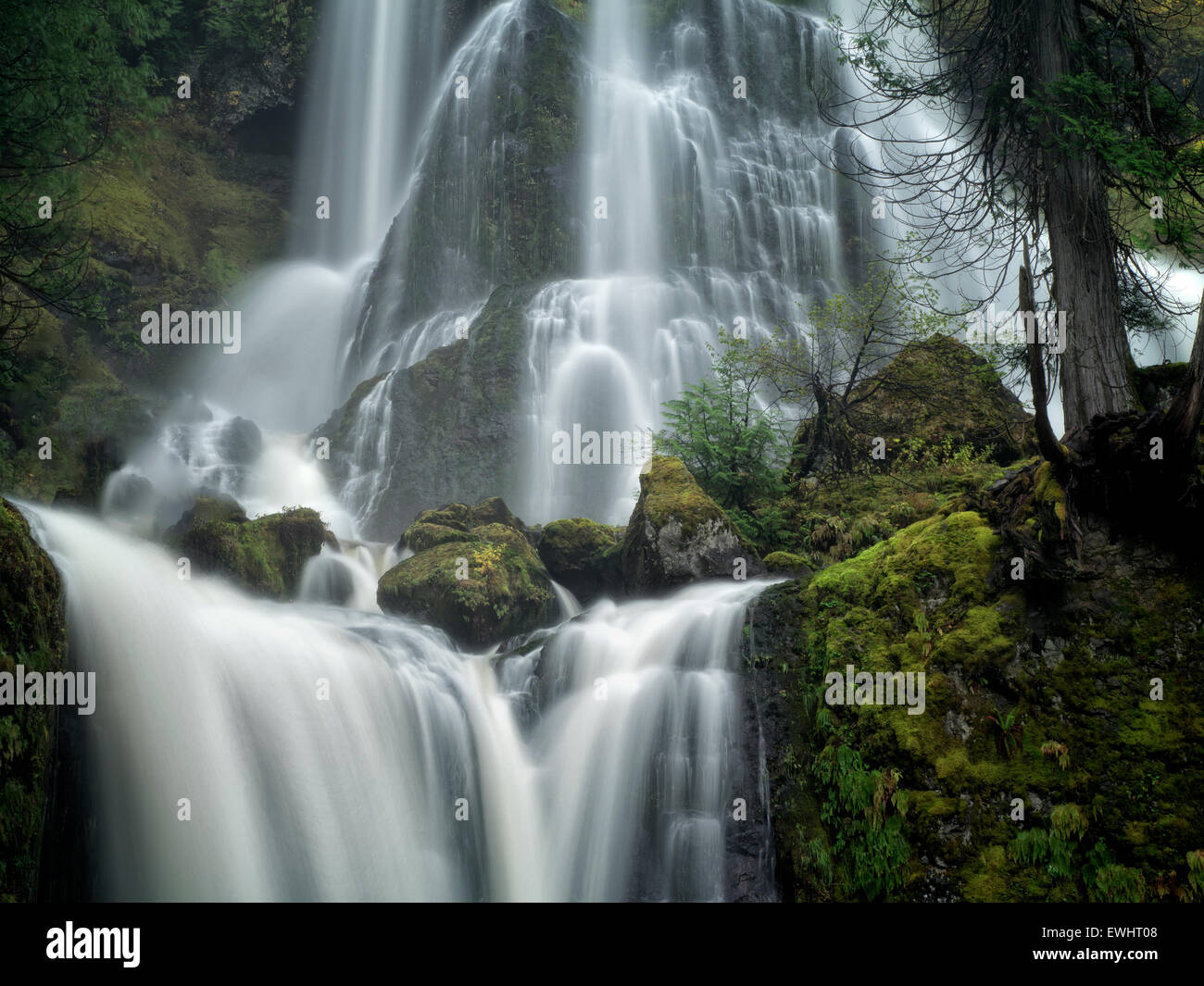 Falls Creek Falls, Washington. Stockfoto