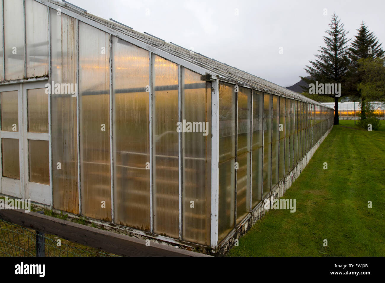 illuminierte Gewächshäuser beheizt durch Erdwärme für den Anbau von Tomaten Hveragerdi Island Stockfoto