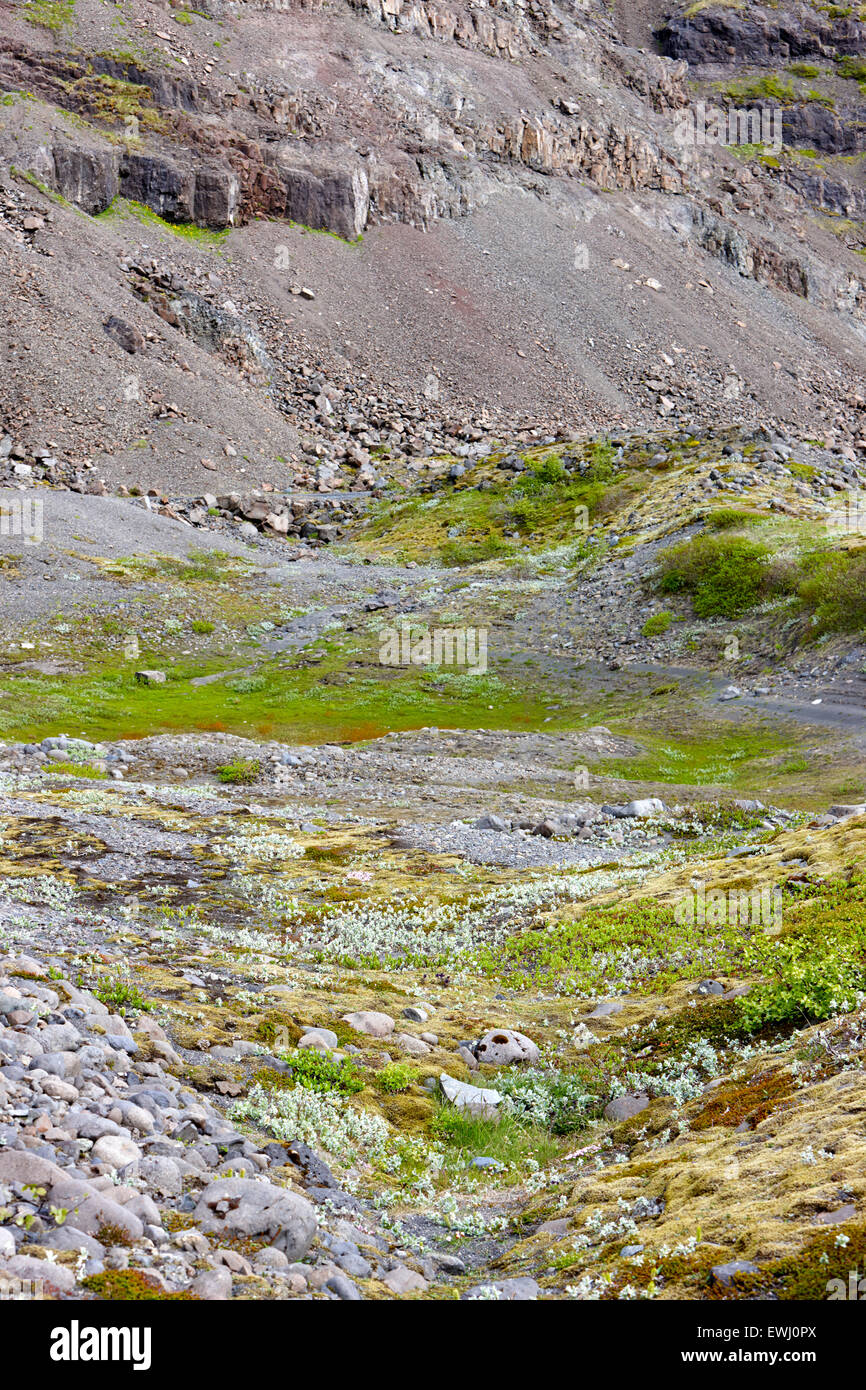 leere Kessel Felsformationen Loch füllen mit Moos und Pflanzen hinterlassen Gletscher Islands Stockfoto