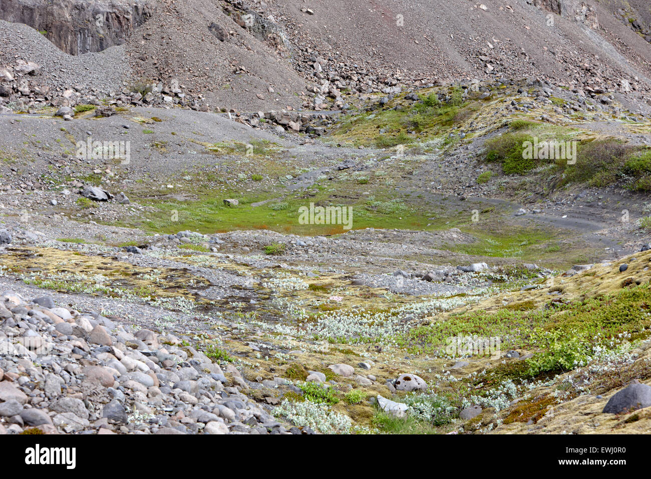 leere Kessel Felsformationen Loch füllen mit Moos und Pflanzen hinterlassen Gletscher Islands Stockfoto