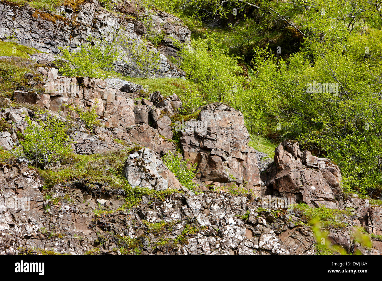 vulkanischen Gesteinsschichten und Deiche in Basalt in Hanglage Island Stockfoto
