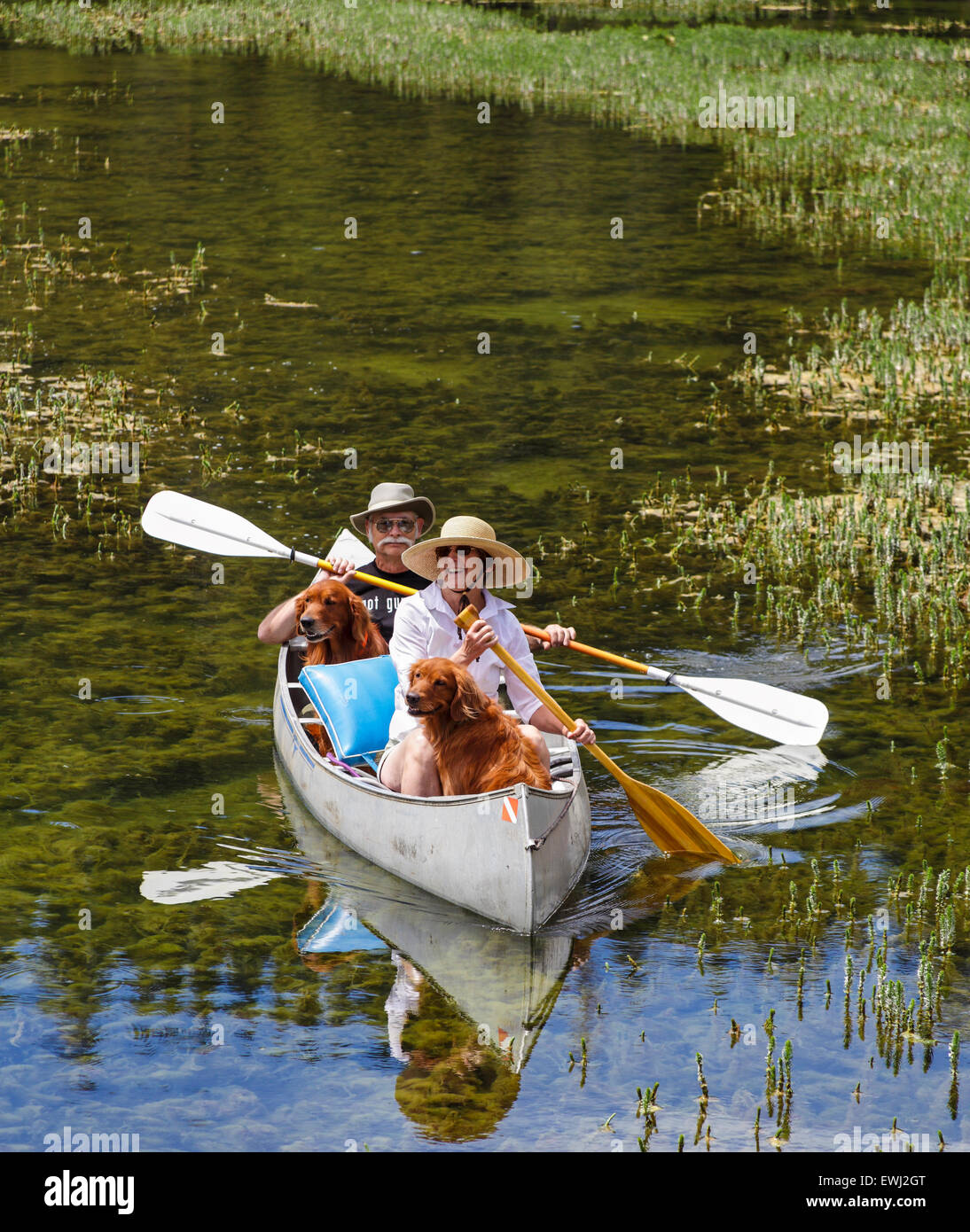 Paar Teilen Kanu mit Retrievern in Twin Lakes im Mammoth Lakes Becken Stockfoto