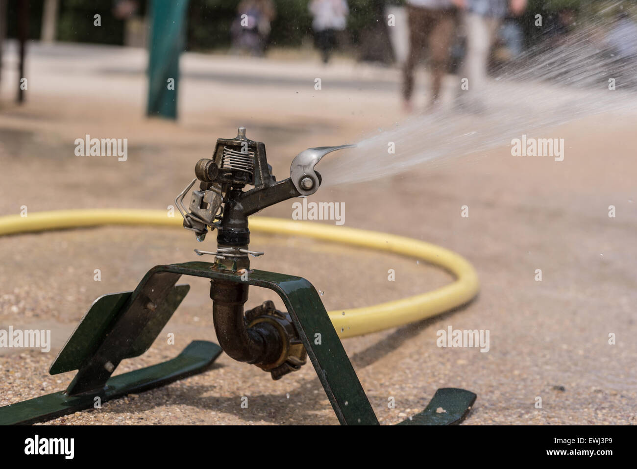 Garten-Sprinkler mit gelbem Gartenschlauch Stockfoto