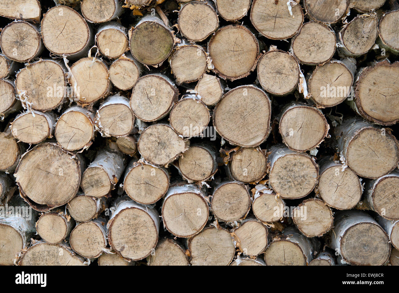 Bild von trockenem Brennholz in einem Haufen gelegt Stockfoto