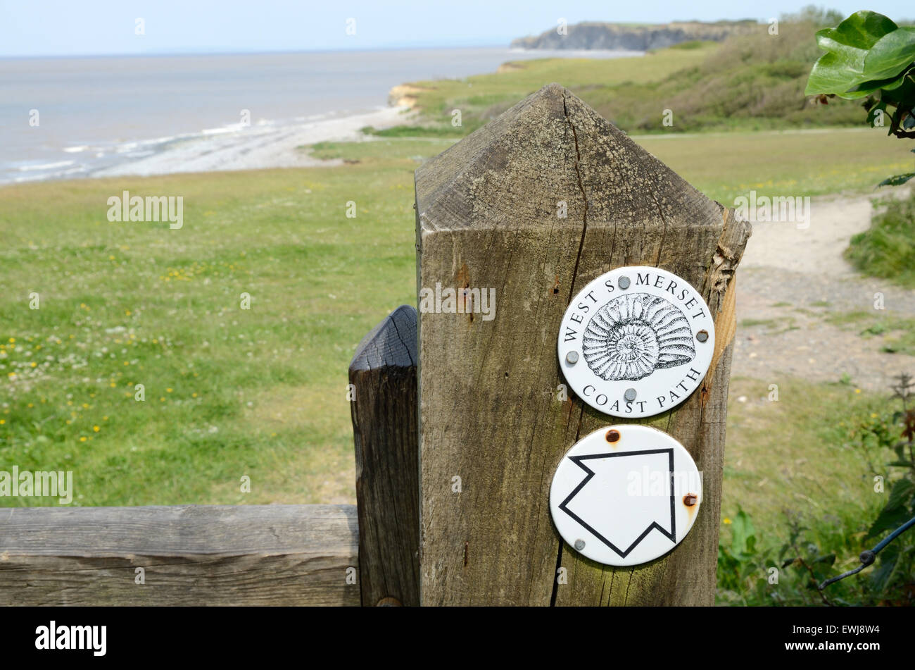 Fossil auf West Somerset Cost Path Zeichen Posten in der Nähe von Kilve Somerset England UK GB Stockfoto