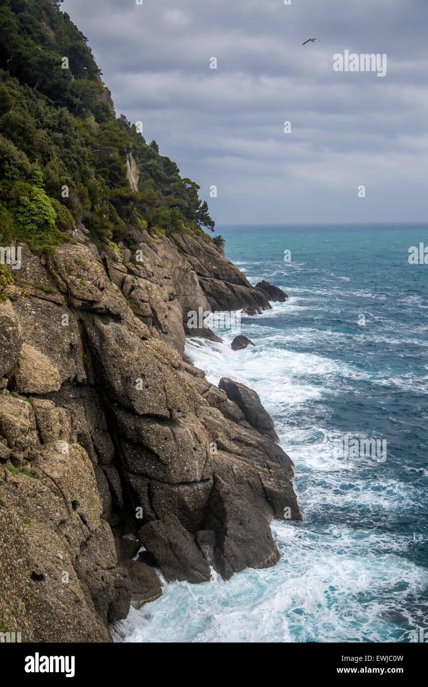 Detail der Küste in Portofino, Italien Stockfoto