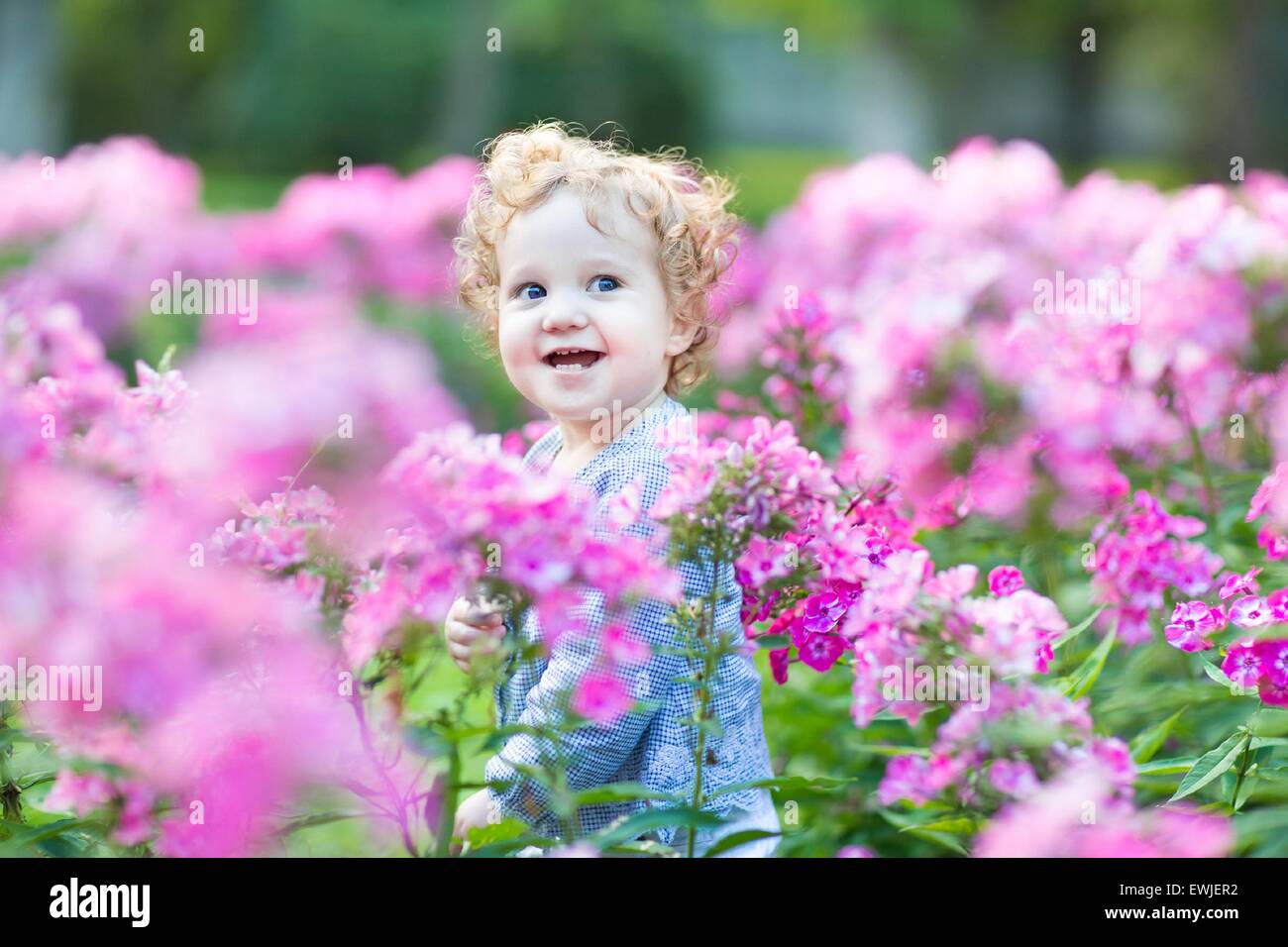 Porträt von einem schönen lockigen Babymädchen mit blauen Augen in einem Feld von rosa Blüten Stockfoto