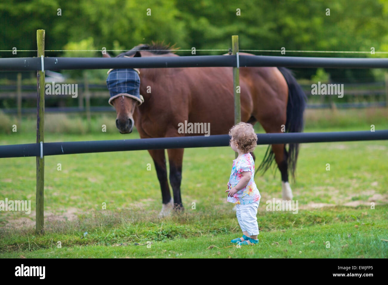 Adorable kleines Mädchen spielen mit einem Pferd auf einem Bauernhof im Sommer Stockfoto